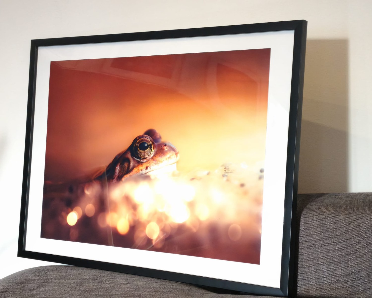 Inramad tavla med grodfoto i gyllene motljus, exempel på print som kan levereras